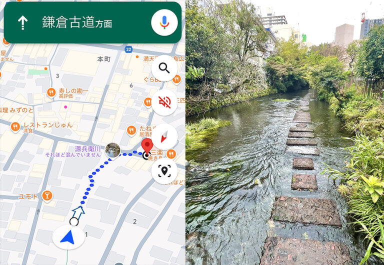 Google Maps