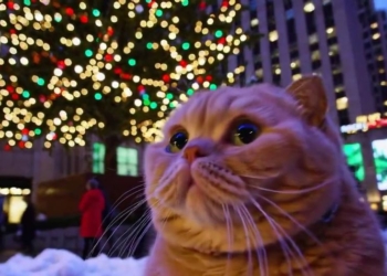 OpenAI 文字生成影片工具 Sora 正式推出！太夯了排不到自己，先來看看網友作品