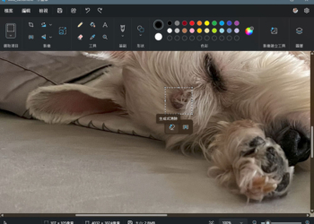 現在所有人都可在 Windows 11 小畫家中使用生成式清除功能