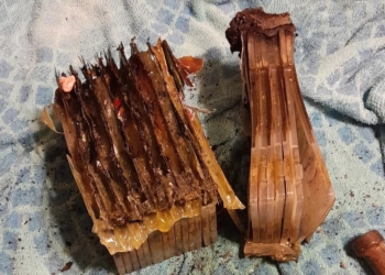 國外網友房間起火，任天堂 Switch 遊戲卡竟奇蹟般無損！