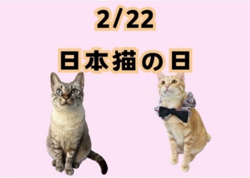 2025日本貓之日：麥當勞、全家、Google等品牌推出可愛貓咪驚喜