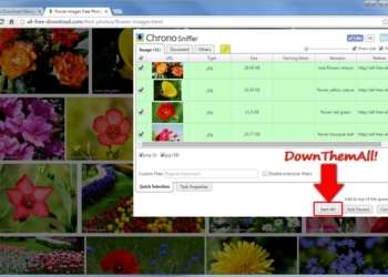 Chrome 免費擴充功能 Chrono 下載管理器：批量下載圖片、影片超簡單！