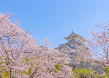 遠傳電信推出多元日韓上網方案，1GB 83元起再抽日本遊輪雙人行