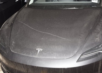 加拿大爆發史上最大特斯拉破壞行動，80輛車遭破壞，服務中心員工無辜受害