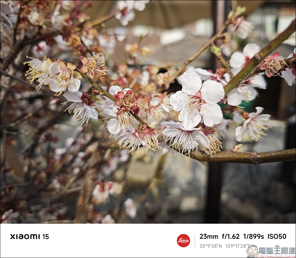 小米 Xiaomi 15 Ultra vs Xiaomi 15 開箱&選購攻略｜2025 最新徠卡影像旗艦巔峰對決，哪款最適合你？ - 電腦王阿達