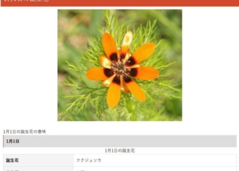 最特別的生日禮物靈感，生日石、生日生魚片！日本網站整理 11 種專屬個人的生日象徵物