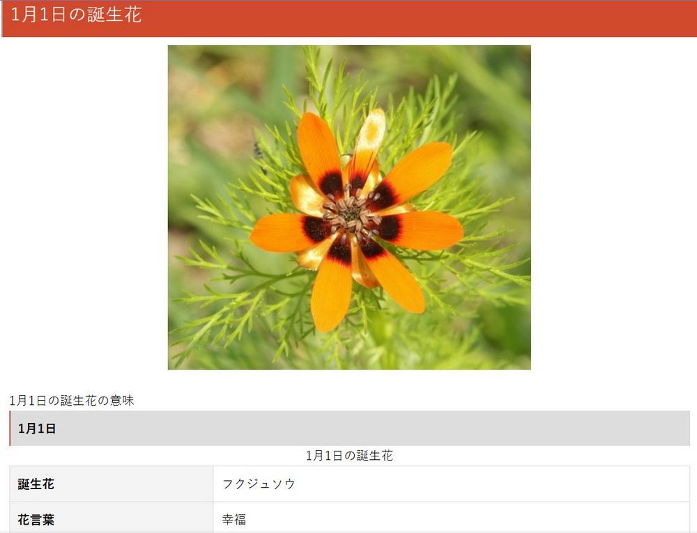 最特別的生日禮物靈感，生日石、生日生魚片！日本網站整理 11 種專屬個人的生日象徵物 - 電腦王阿達