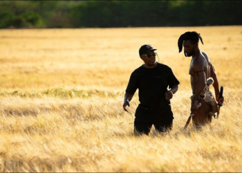 日本東映與南非 Pambili Media 聯手合拍《彌助：蝴蝶之道》