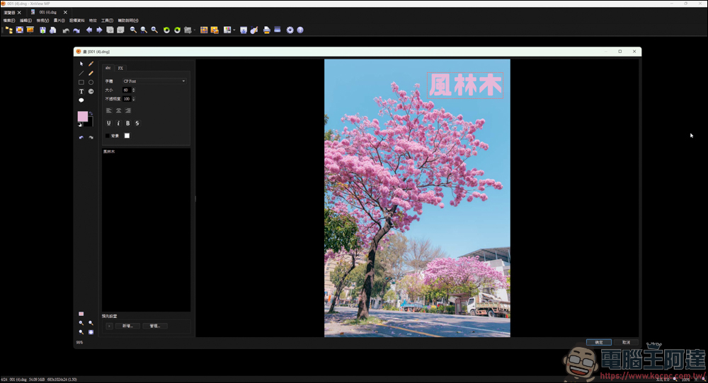 最佳免費看圖軟體替代方案？試試 XnView MP (下載與教學) - 電腦王阿達