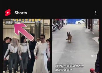 YouTube Shorts 現在以演算法突出顯示新短片