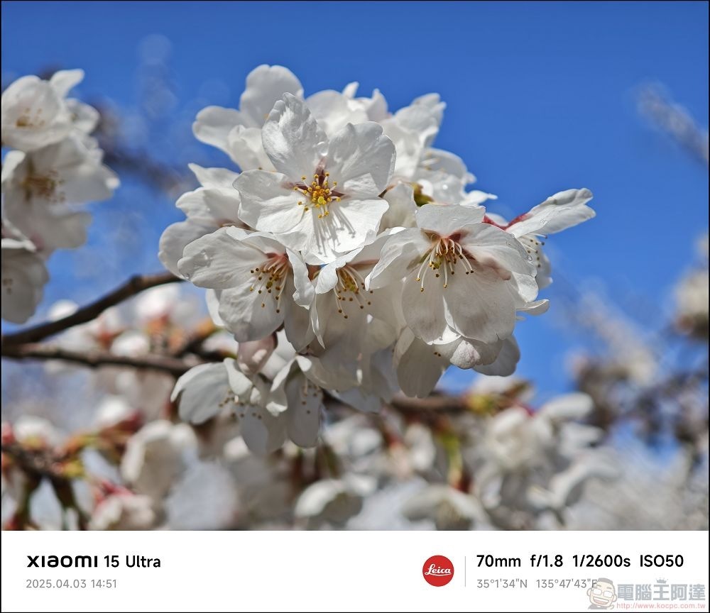 Xiaomi 15 Ultra 拍攝樣張 - 022