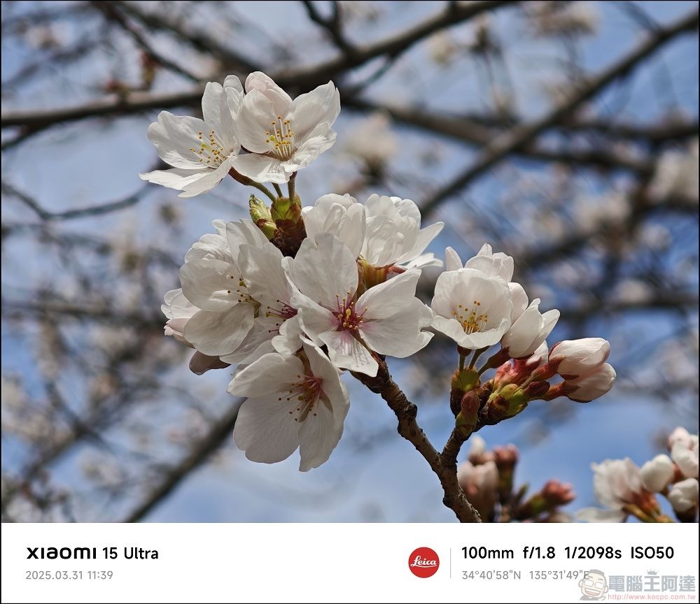 Xiaomi 15 Ultra 拍攝樣張 - 024