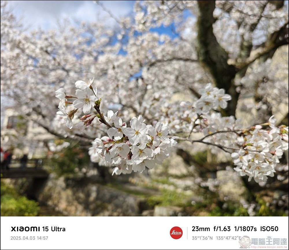 Xiaomi 15 Ultra 拍攝樣張 - 027