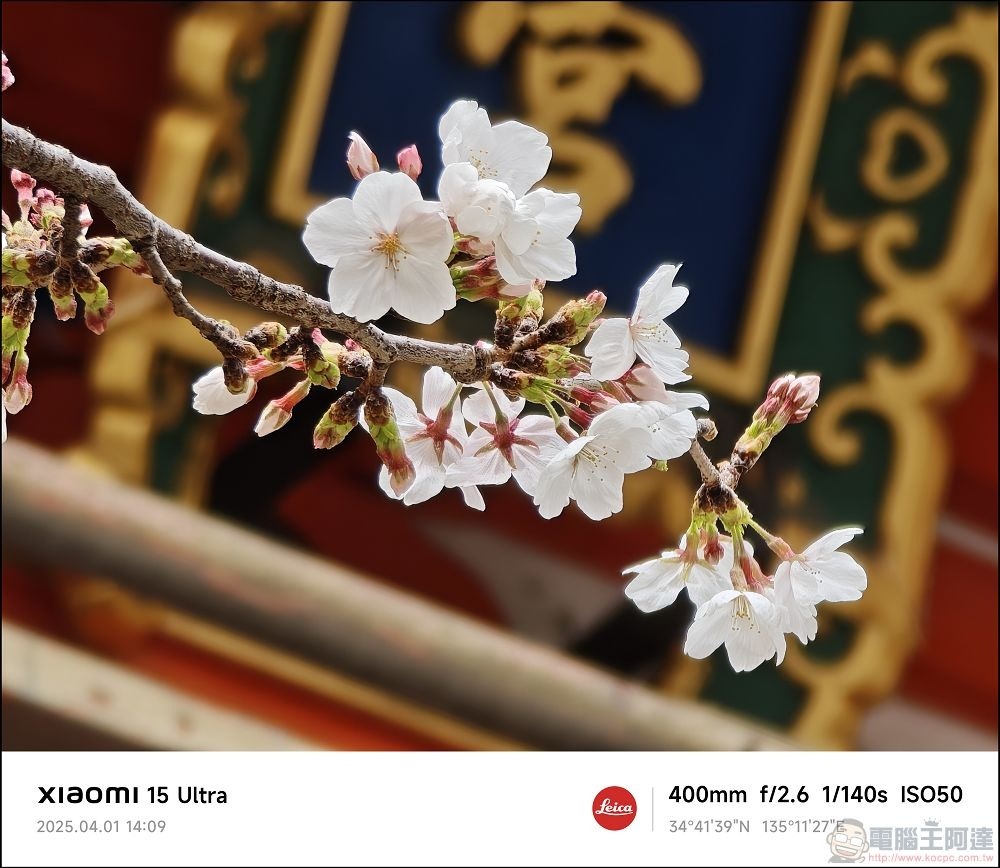 Xiaomi 15 Ultra 拍攝樣張 - 029