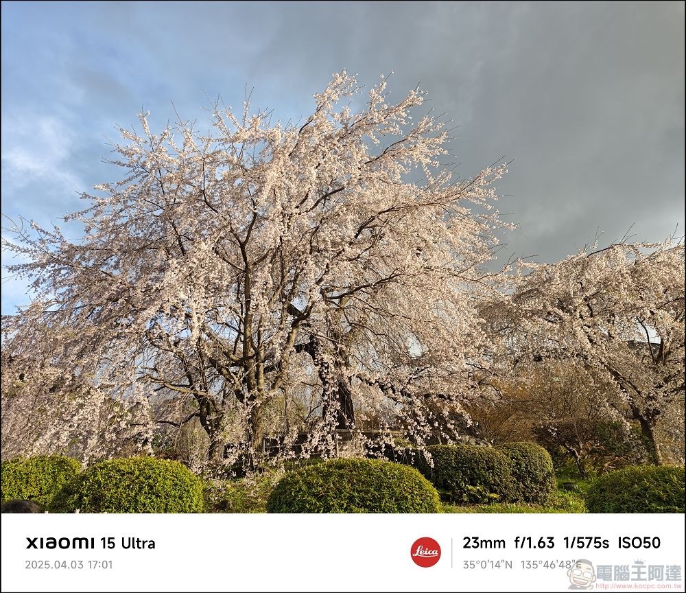 Xiaomi 15 Ultra 拍攝樣張 - 034