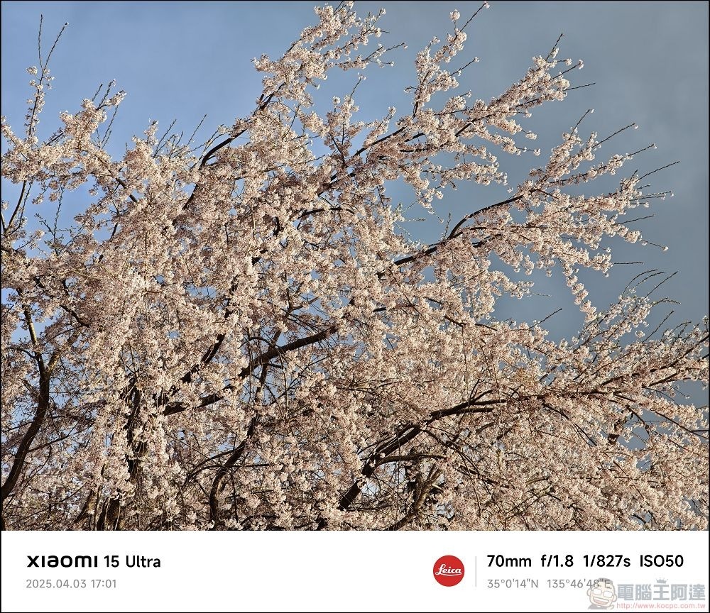 Xiaomi 15 Ultra 拍攝樣張 - 035