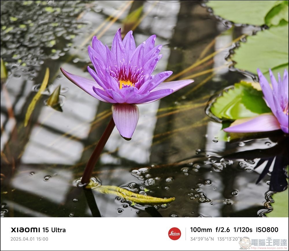 Xiaomi 15 Ultra 拍攝樣張 - 047