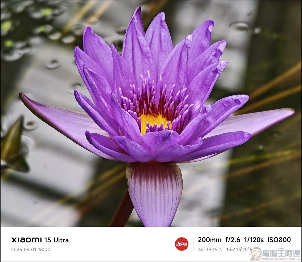 Xiaomi 15 Ultra 拍攝樣張 - 048