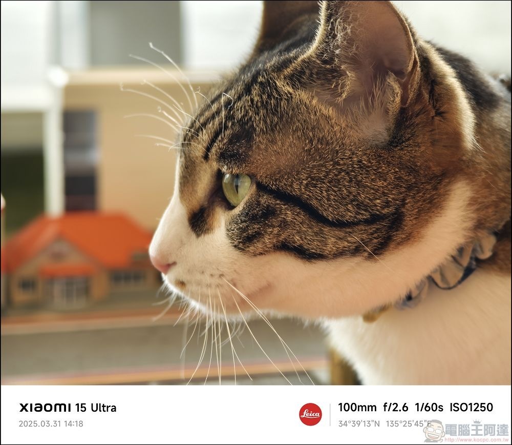 Xiaomi 15 Ultra 拍攝樣張 - 064