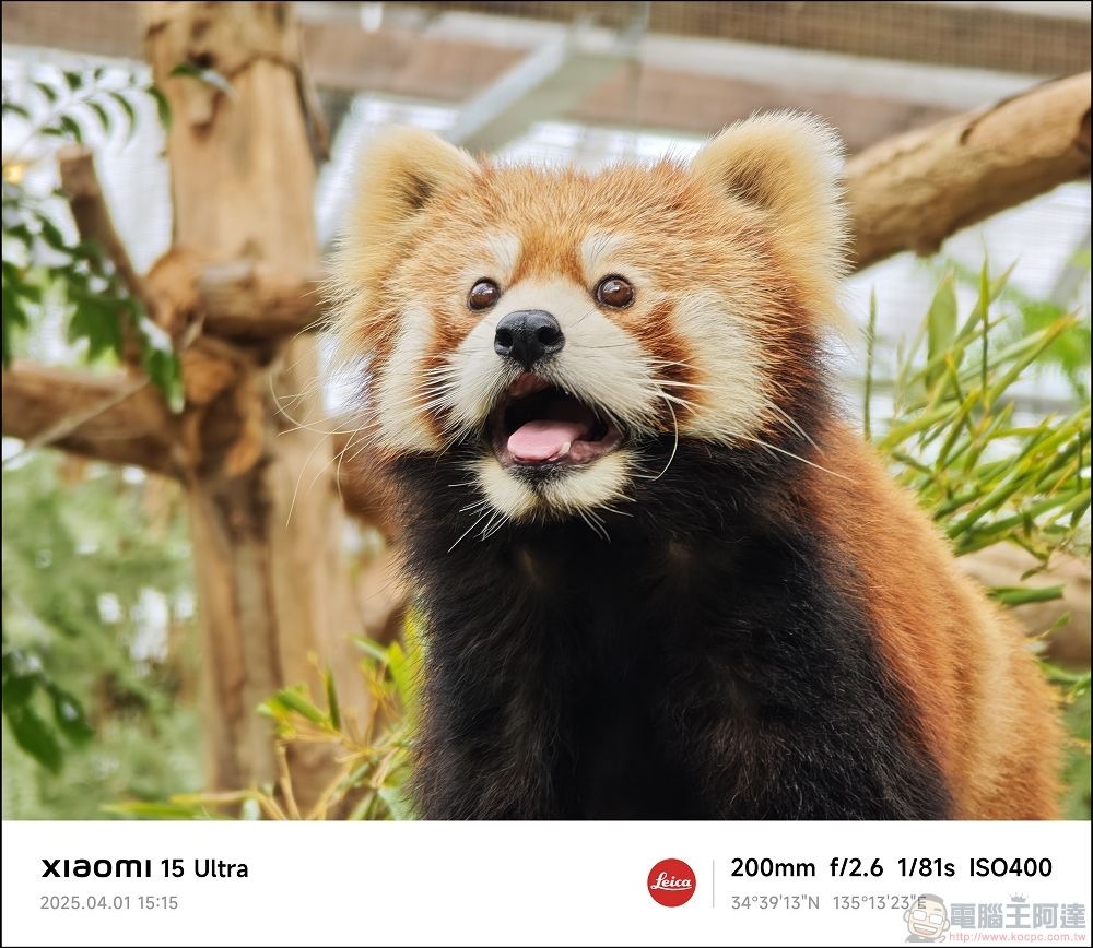 Xiaomi 15 Ultra 拍攝樣張 - 075