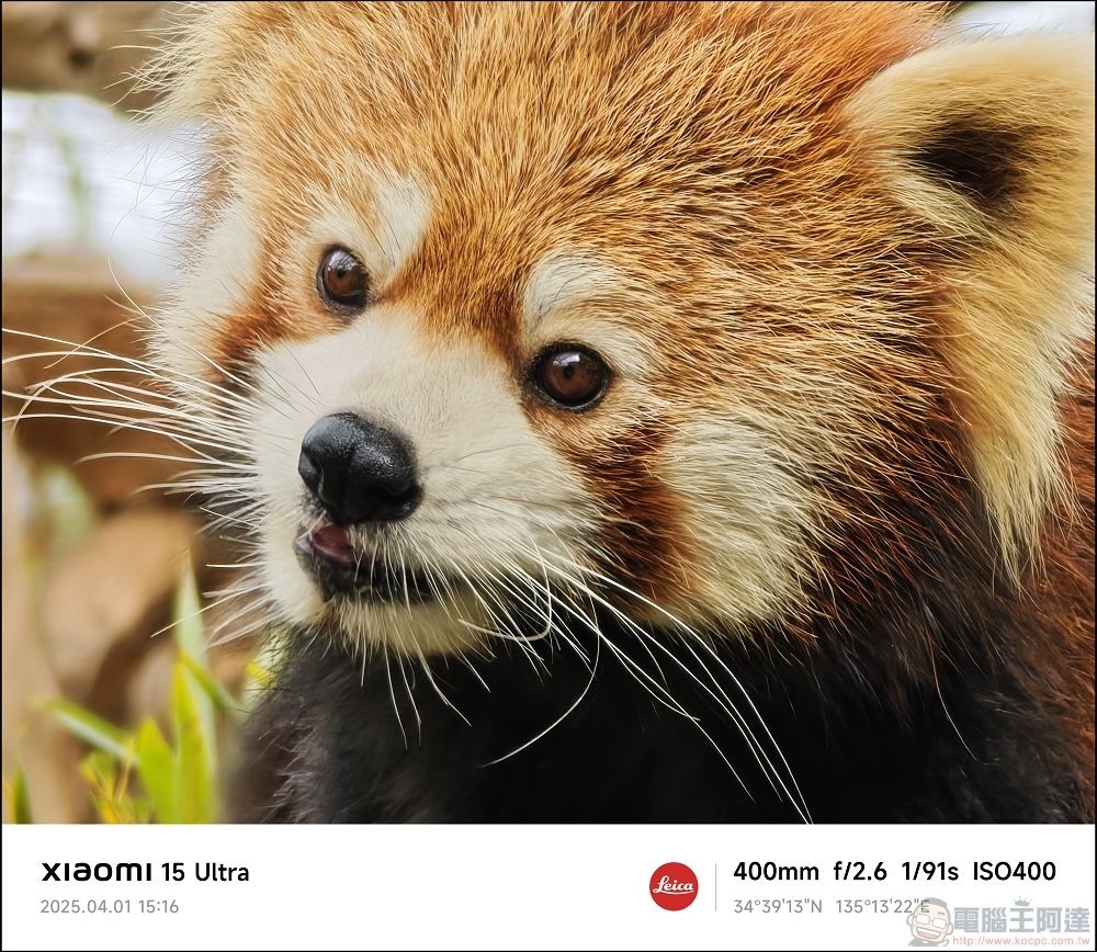 Xiaomi 15 Ultra 拍攝樣張 - 076