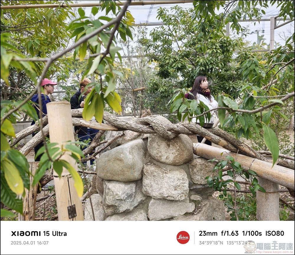 Xiaomi 15 Ultra 拍攝樣張 - 077
