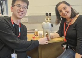 未來不怕蛀牙缺牙？英國學者成功研發革命性牙齒再生技術