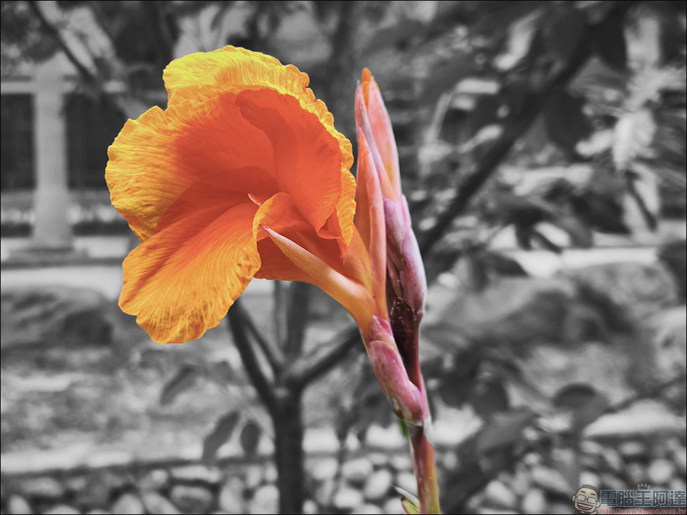 Photoshop