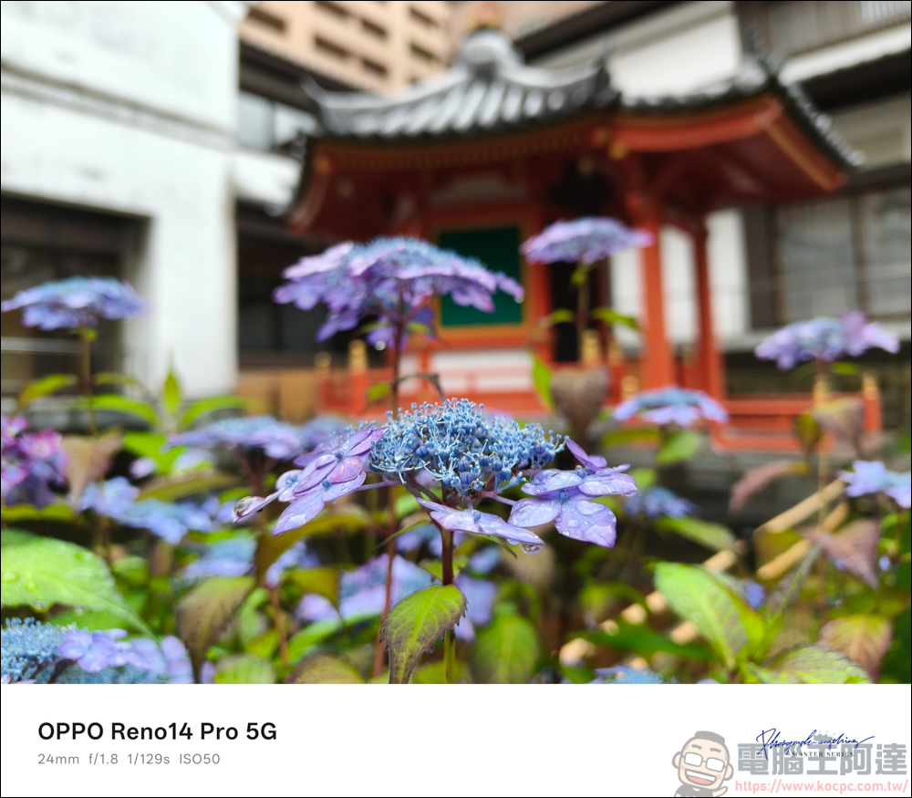 OPPO Reno14 Pro 開箱：5000萬畫素四鏡頭 + AI 影像黑科技，續航實力全面升級 - 電腦王阿達