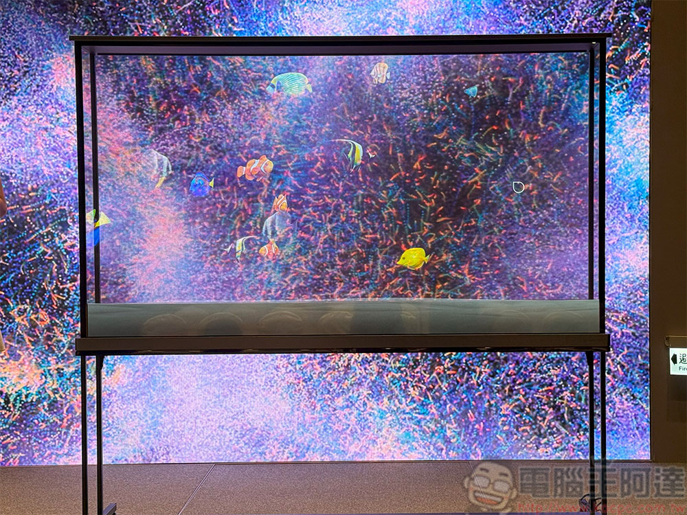 全球首款真無線 4K OLED「LG SIGNATURE OLED T」登台，2025 OLED、QNED 新品同步推出 - 電腦王阿達