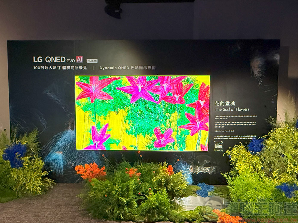 全球首款真無線 4K OLED「LG SIGNATURE OLED T」登台，2025 OLED、QNED 新品同步推出 - 電腦王阿達