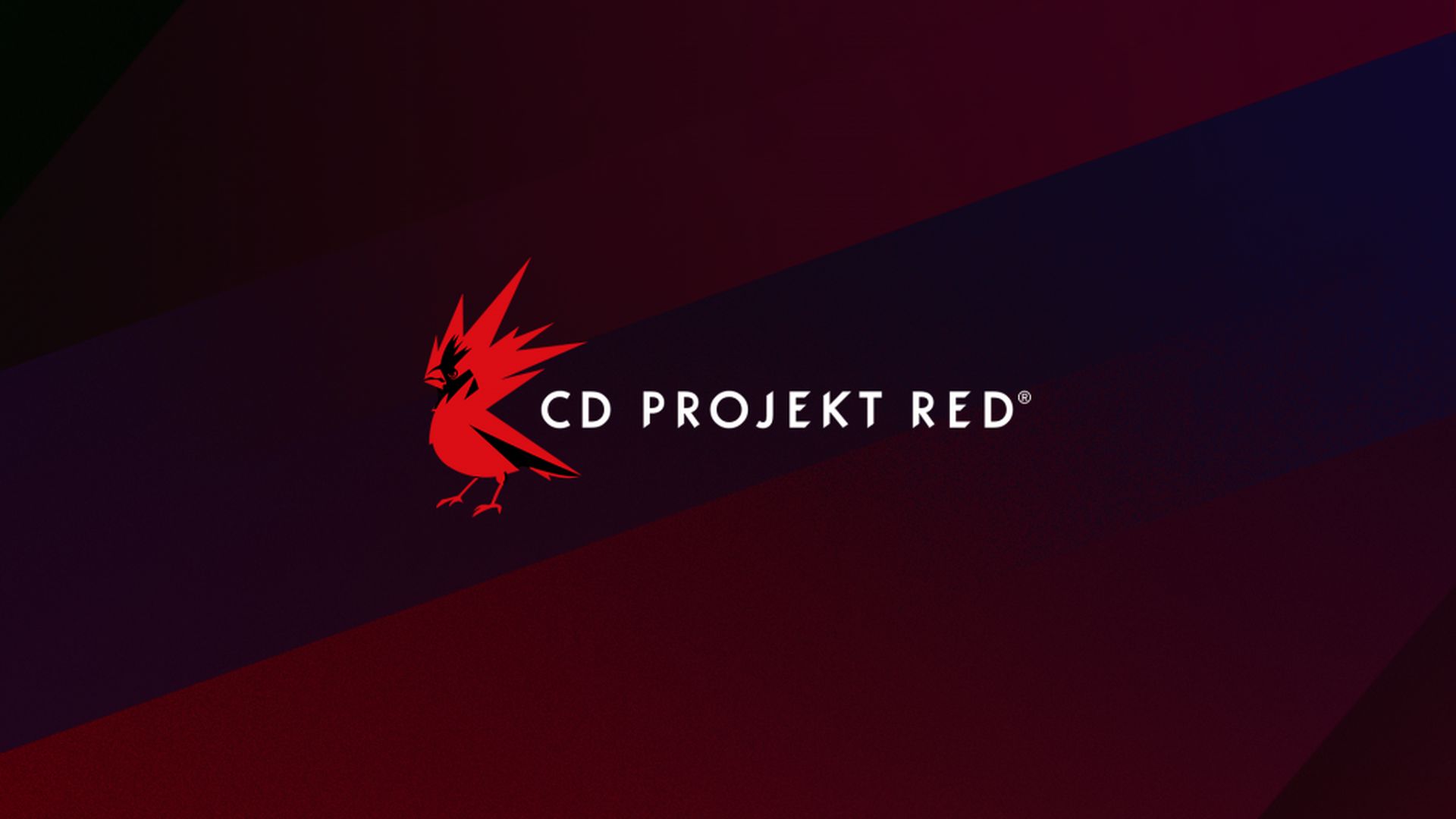 最新徵才資訊暗示 CDPR 神秘新作「Project Hadar」細節 - 電腦王阿達