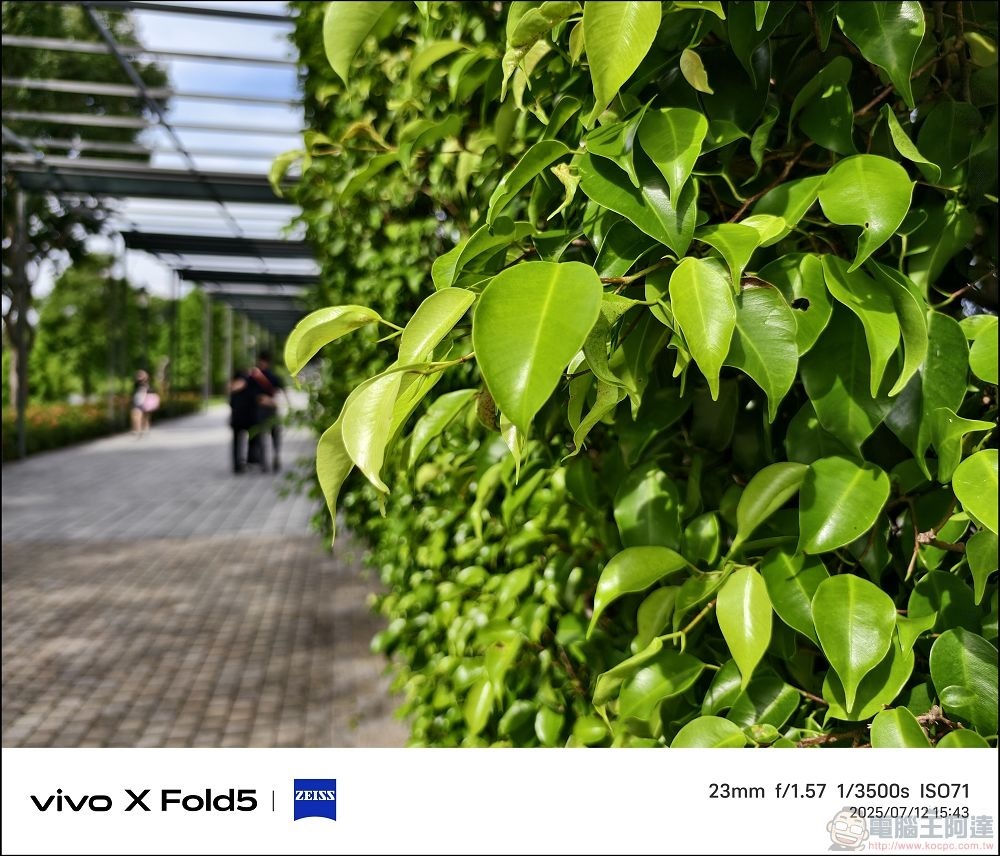 vivo X Fold5 拍攝樣張 - 15