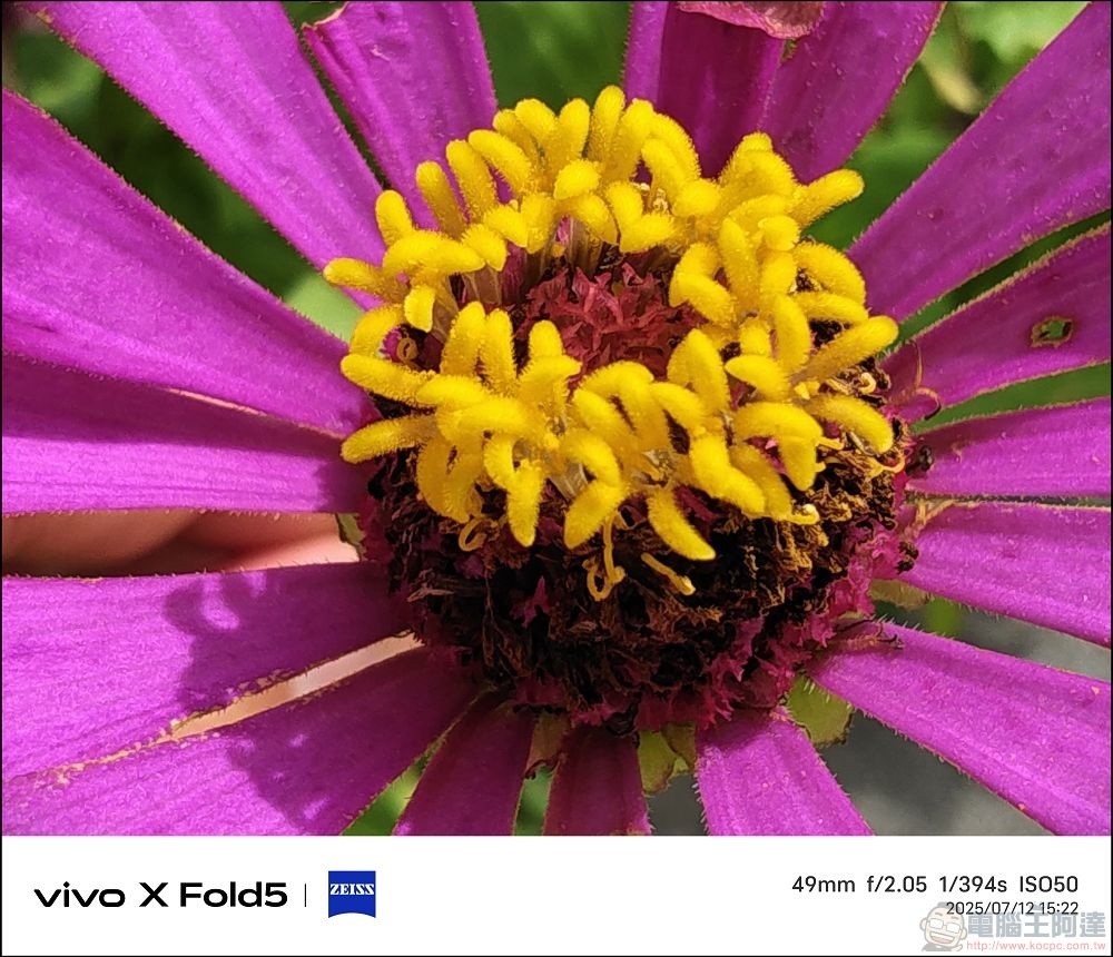 vivo X Fold5 拍攝樣張 - 26