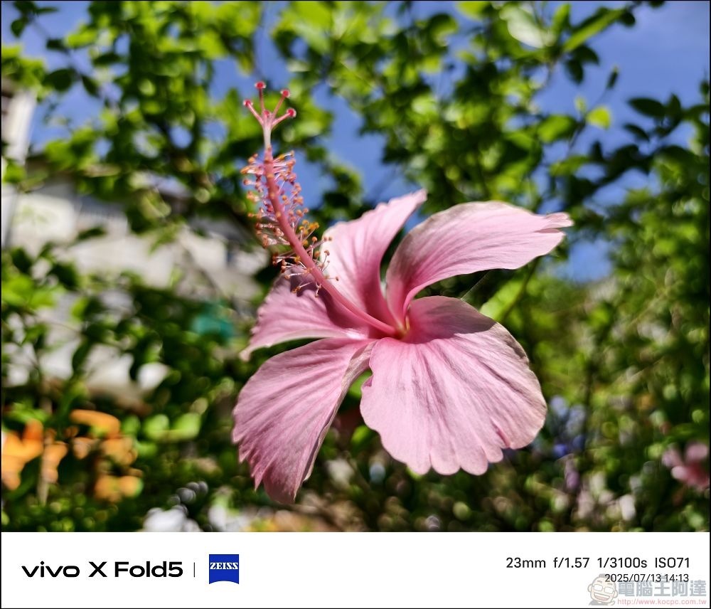 vivo X Fold5 拍攝樣張 - 27