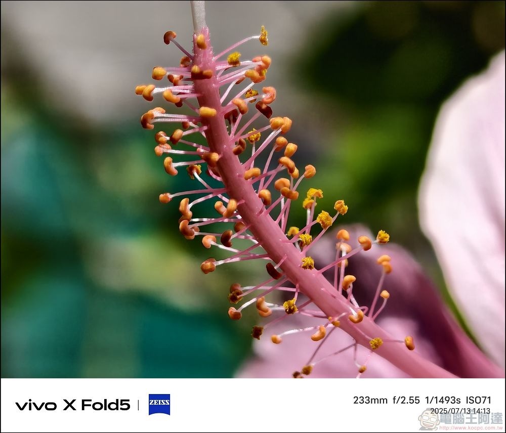 vivo X Fold5 拍攝樣張 - 28
