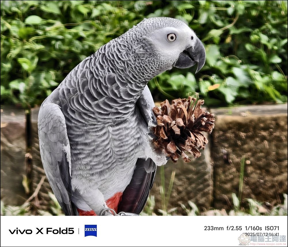 vivo X Fold5 拍攝樣張 - 47