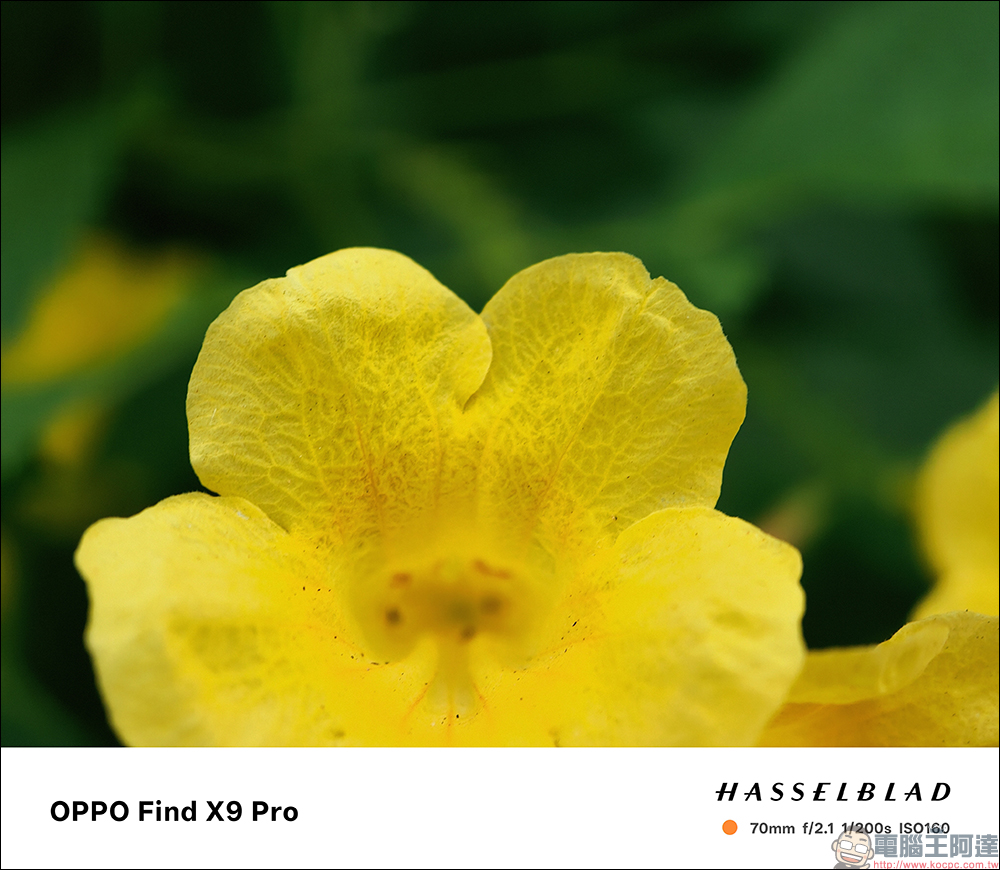 OPPO Find X9 Pro 開箱評測｜2 億哈蘇長焦、原色真彩鏡頭登場！年度影像旗艦的質感與實力全面升級 - 電腦王阿達