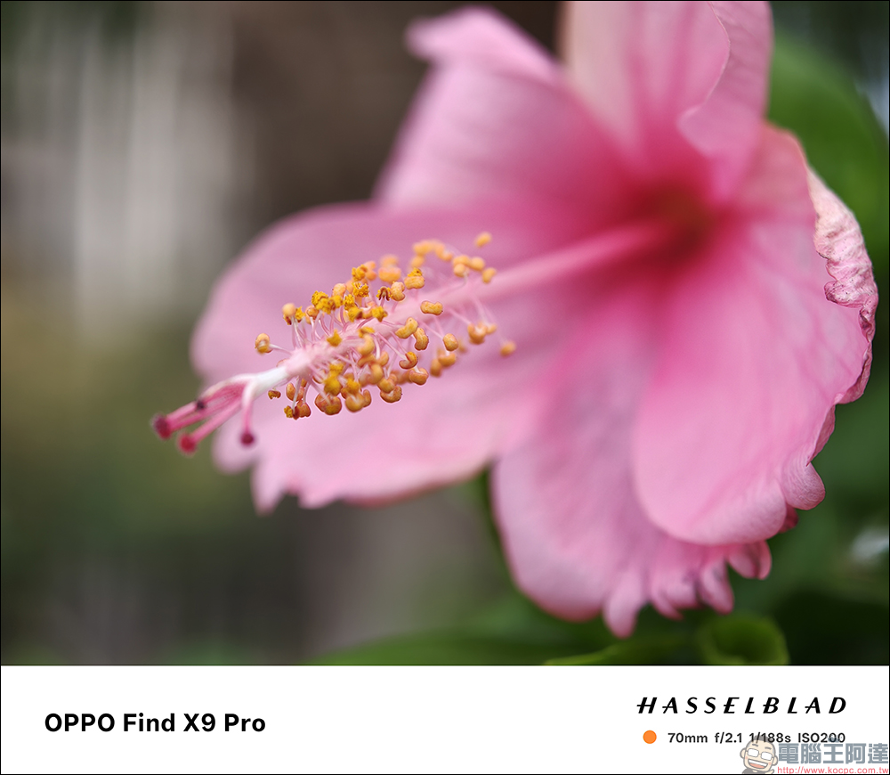 OPPO Find X9 Pro 開箱評測｜2 億哈蘇長焦、原色真彩鏡頭登場！年度影像旗艦的質感與實力全面升級 - 電腦王阿達