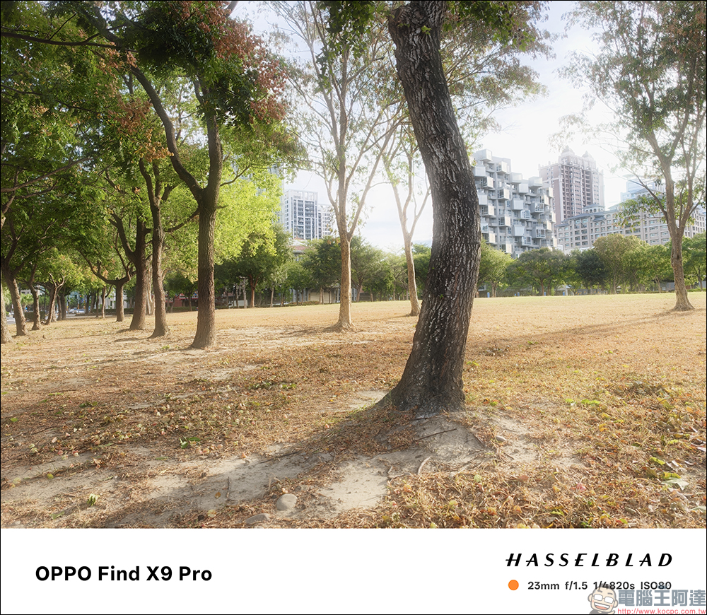 OPPO Find X9 Pro 開箱評測｜2 億哈蘇長焦、原色真彩鏡頭登場！年度影像旗艦的質感與實力全面升級 - 電腦王阿達