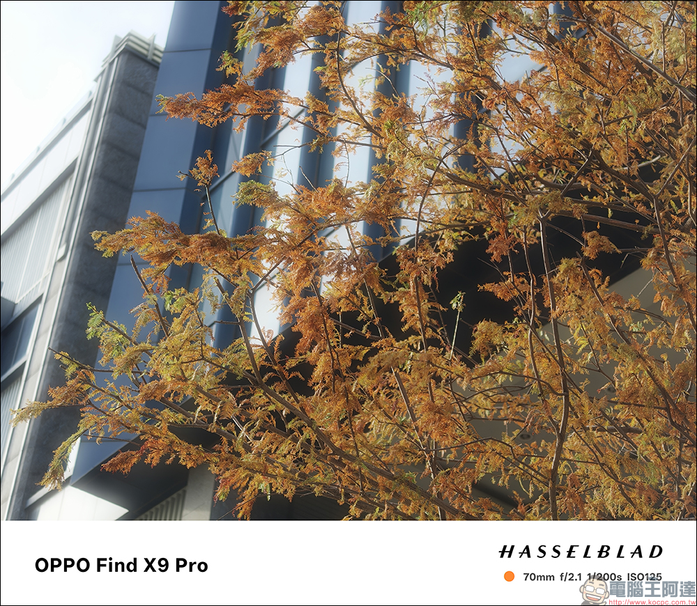OPPO Find X9 Pro 開箱評測｜2 億哈蘇長焦、原色真彩鏡頭登場！年度影像旗艦的質感與實力全面升級 - 電腦王阿達