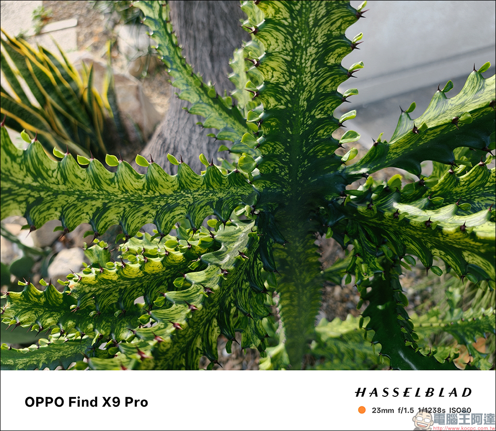 OPPO Find X9 Pro 開箱評測｜2 億哈蘇長焦、原色真彩鏡頭登場！年度影像旗艦的質感與實力全面升級 - 電腦王阿達