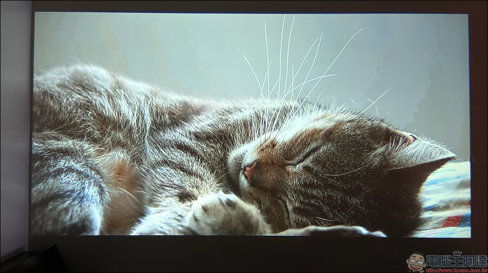 Warpple LA5 開箱評測：真 1080P 短焦雲台，掌上級智慧劇院的新體驗！ - 電腦王阿達