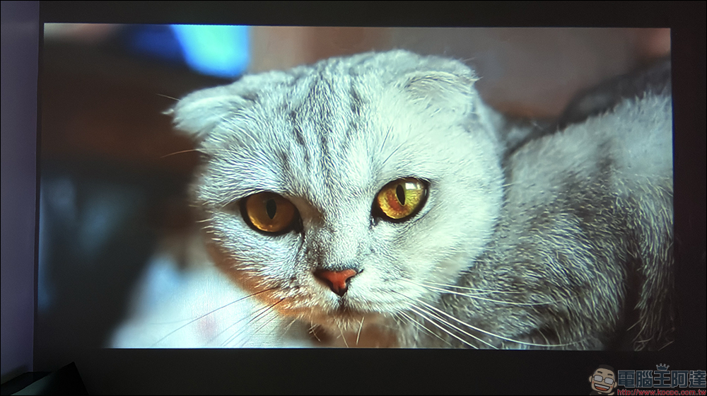 Warpple LA5 開箱評測：真 1080P 短焦雲台，掌上級智慧劇院的新體驗！ - 電腦王阿達