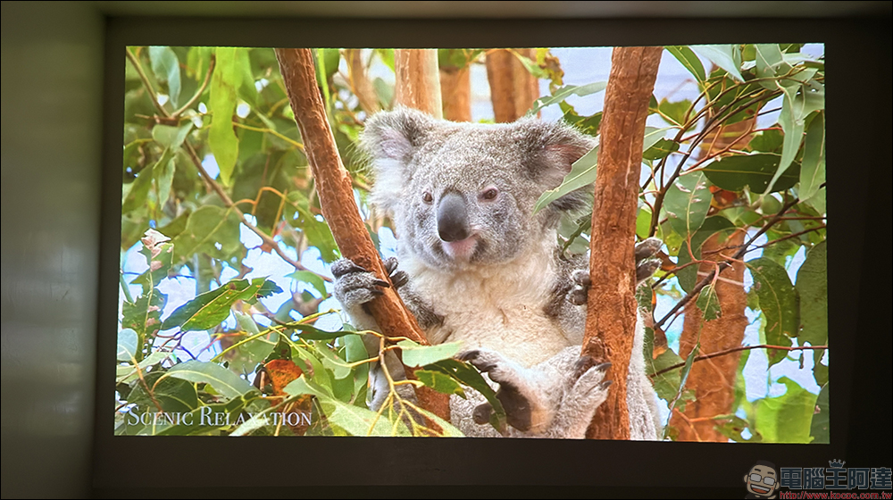 OVO U11 智慧投影機開箱:影視、遊戲、唱歌三合一的「小天王行動劇院」 - 電腦王阿達 OVO U11 智慧投影機開箱:影視、遊戲、唱歌三合一的「小天王行動劇院」 - 電腦王阿達