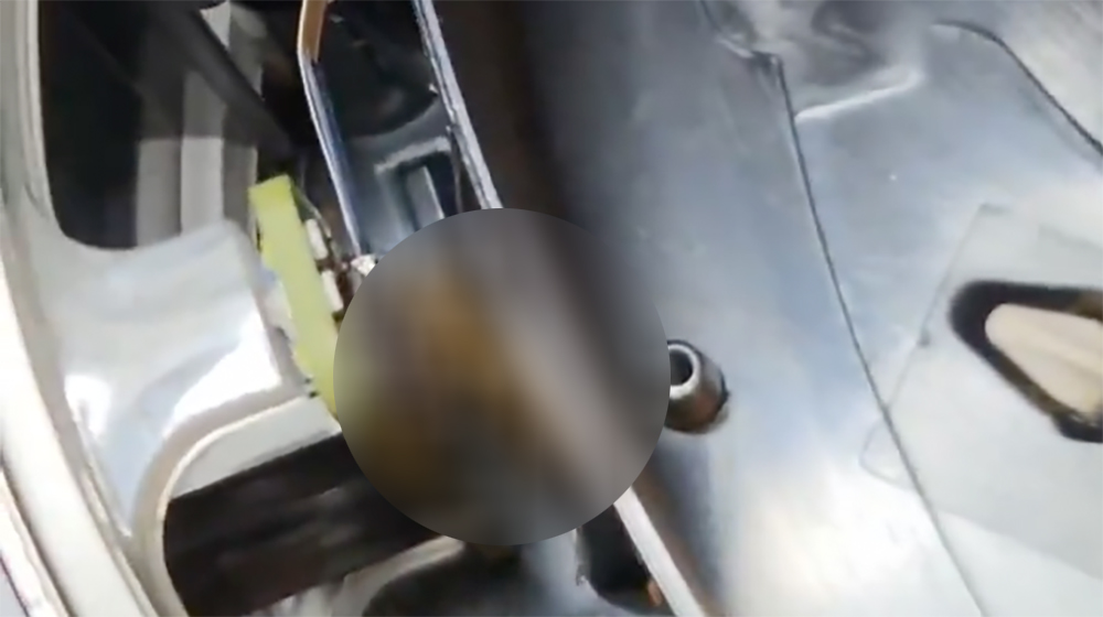 最噁心的送修案例!PS5 被蟑螂攻占,維修員打開瞬間崩潰 - 電腦王阿達 最噁心的送修案例!PS5 被蟑螂攻占,維修員打開瞬間崩潰 - 電腦王阿達