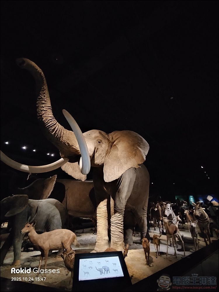 超好用!Rokid Glasses樂奇AI智慧眼鏡:AR 導航、即時翻譯、直橫拍 Vlog 全搞定 - 電腦王阿達 超好用!Rokid Glasses樂奇AI智慧眼鏡:AR 導航、即時翻譯、直橫拍 Vlog 全搞定 - 電腦王阿達