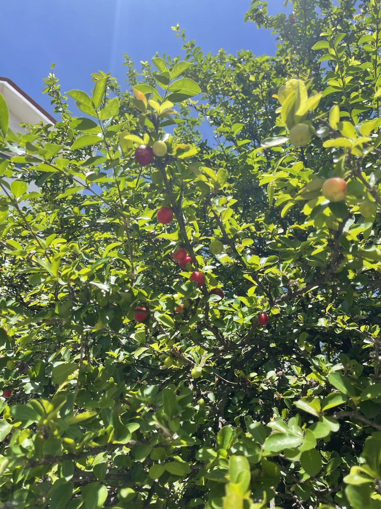 2025 新台幣1000元的自地自建 Part2. 正式開箱! - 電腦王阿達 2025 新台幣1000元的自地自建 Part2. 正式開箱! - 電腦王阿達