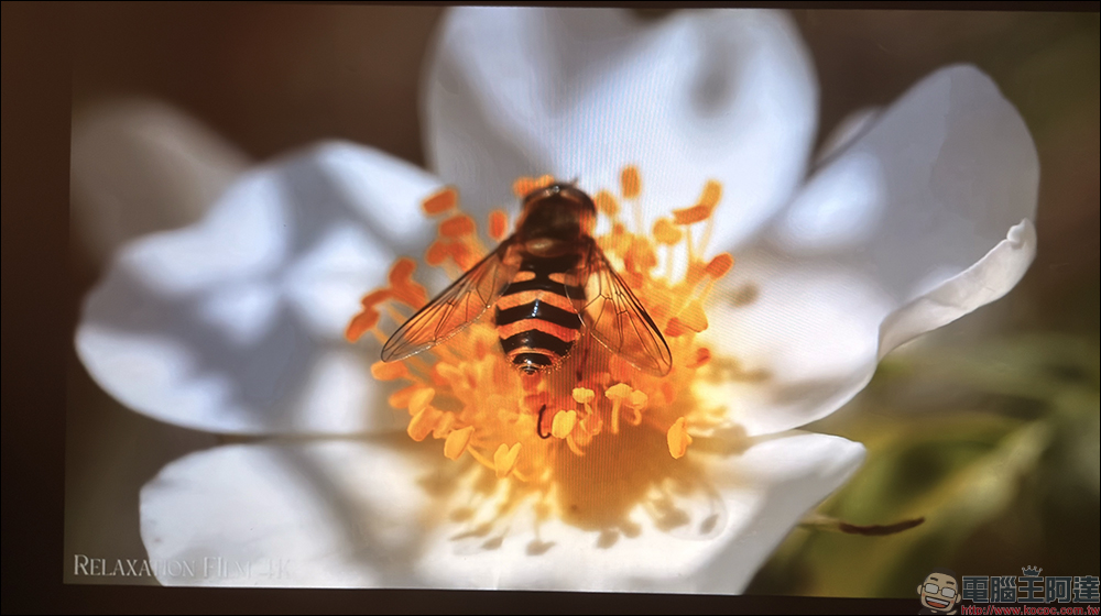 Warpple LA8 智慧投影機開箱:1200 ANSI 流明+短焦雲台+Google TV,在家打造高端輕劇院 - 電腦王阿達 Warpple LA8 智慧投影機開箱:1200 ANSI 流明+短焦雲台+Google TV,在家打造高端輕劇院 - 電腦王阿達