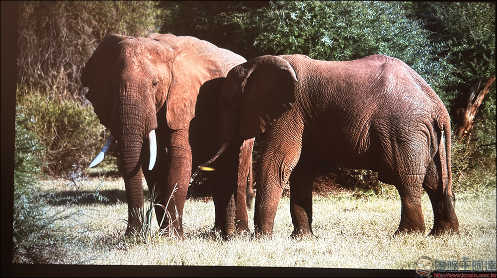 Warpple LA8 智慧投影機開箱:1200 ANSI 流明+短焦雲台+Google TV,在家打造高端輕劇院 - 電腦王阿達 Warpple LA8 智慧投影機開箱:1200 ANSI 流明+短焦雲台+Google TV,在家打造高端輕劇院 - 電腦王阿達